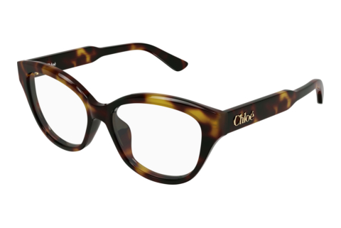 Bril Chloé CH0381OL 007