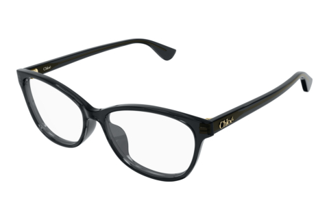 Bril Chloé CH0394OL 001