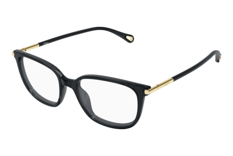 Bril Chloé CH0400O 001