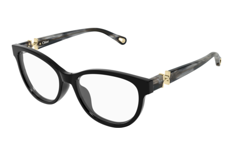 Bril Chloé CH0411OL 001