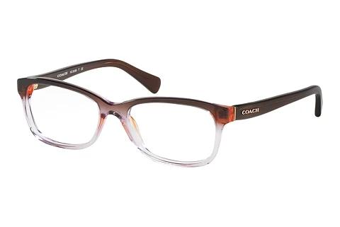 Bril Coach HC6089 5401