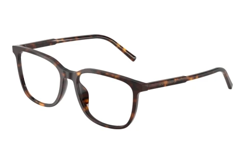 Bril Dolce & Gabbana DG3445 502