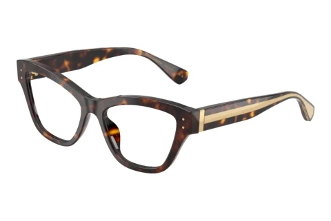 Bril Dolce & Gabbana DG3448 502