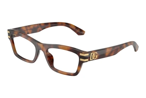 Bril Dolce & Gabbana DG3454 3497
