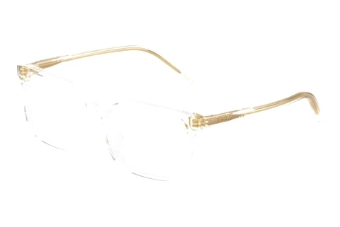 Bril Dolce & Gabbana DX3003 3133