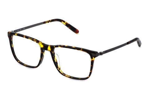 Bril Fila VFIB01 0779