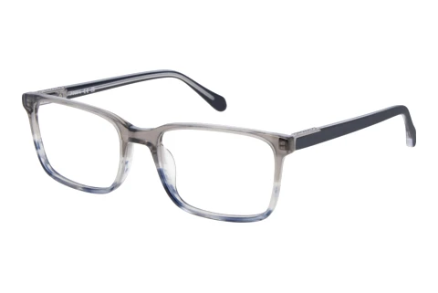 Bril Fossil FOS 7229 2W8