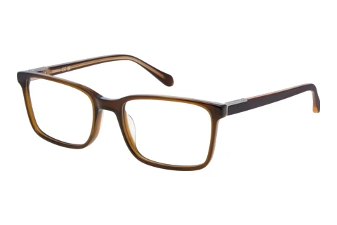 Bril Fossil FOS 7229 FL4