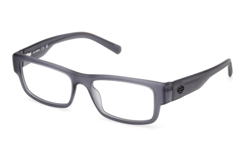 Bril Harley-Davidson HD50111 020