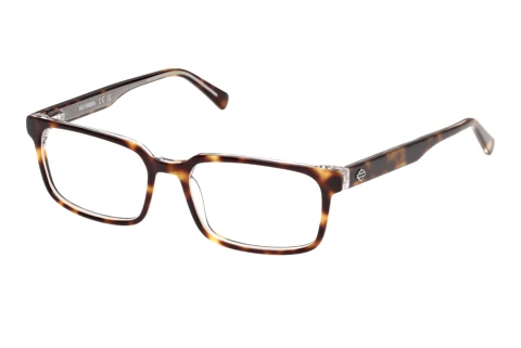 Bril Harley-Davidson HD50156 052