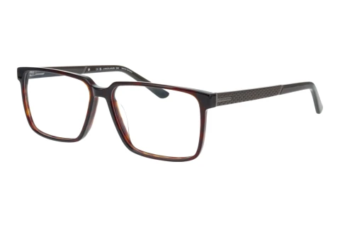 Bril Jaguar 31035 8940