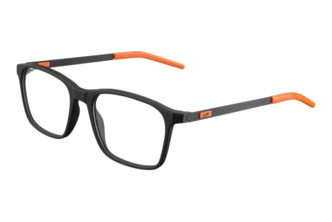 Bril Julbo ALPHA 14_JOP1490