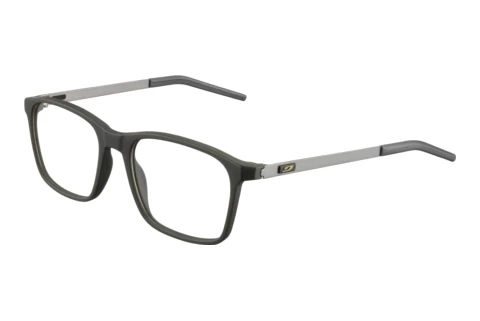 Bril Julbo ALPHA 16_JOP1490