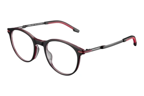 Bril Julbo FLAIR 14_JOP1451