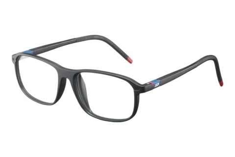 Bril Julbo FLEXIO-R54 14_JOP1413