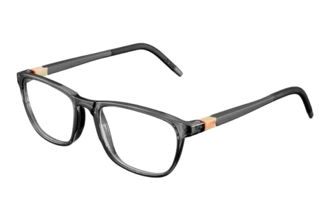 Bril Julbo FLEXIO-RS50 22_JOP1465