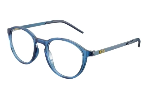 Bril Julbo THETA 12_JOP1493