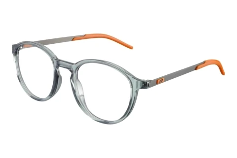 Bril Julbo THETA 16_JOP1493