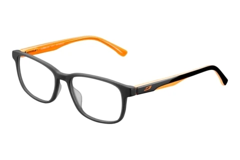 Bril Julbo ZIPPY 28_JOP1459