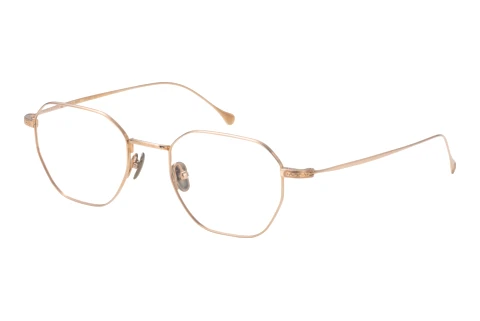 Bril Minamoto MN31005 GP