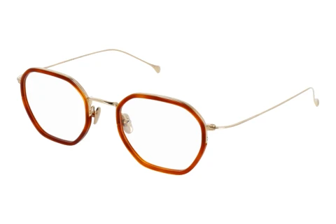 Bril Minamoto MN31029 GP