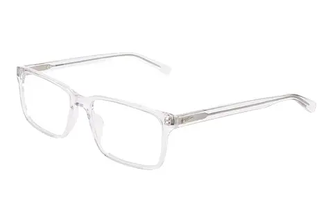 Bril Nike NIKE 1001 900
