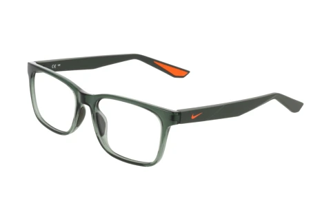 Bril Nike NIKE 7415 302