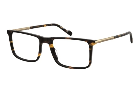 Bril Pierre Cardin P.C. 6291 086