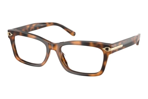 Bril Ralph Lauren RL6255U 6089