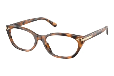 Bril Ralph Lauren RL6268U 6089