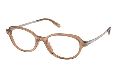 Bril Ralph Lauren RL6269U 6377
