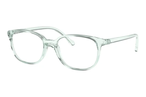 Bril Ray-Ban Kids RY1900 3837