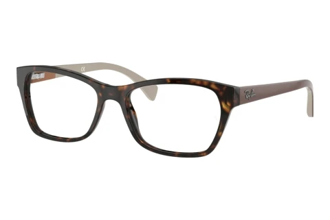 Bril Ray-Ban RX5298 5549