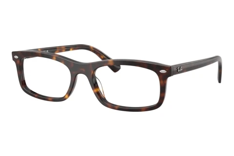 Bril Ray-Ban RX5450 2012