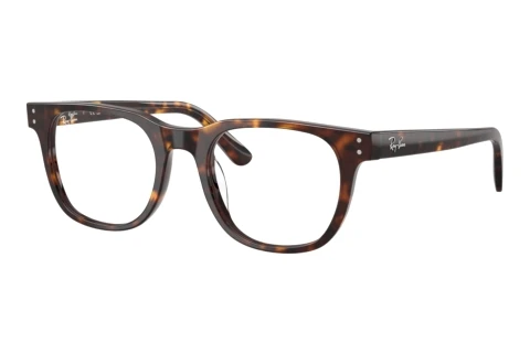 Bril Ray-Ban RX5461D 2012