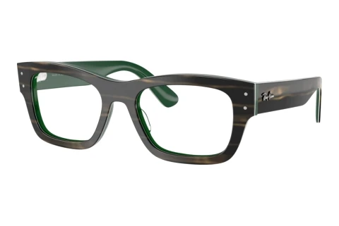 Bril Ray-Ban JOSEPH (RX7683V 8392)