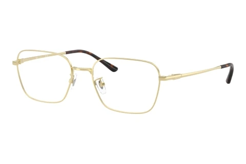 Bril Ray-Ban RX8784D 1251
