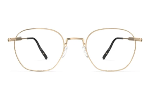 Bril Silhouette Pure Visionary (5592 7631)