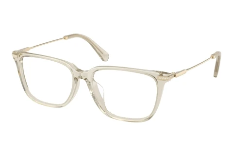 Bril Swarovski SK2067D 3003