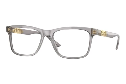 Bril Versace VE3319 593