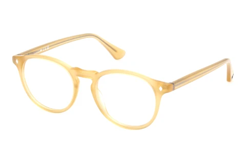 Bril Web Eyewear WE5387 041