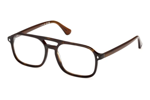 Bril Web Eyewear WE5473 052