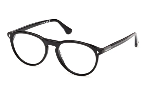 Bril Web Eyewear WE5474 005
