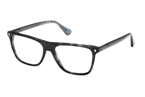 Bril Web Eyewear WE5475 056