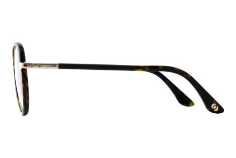 Bril Wood Fellas OSTRO (11130 black oak/havana/gold)