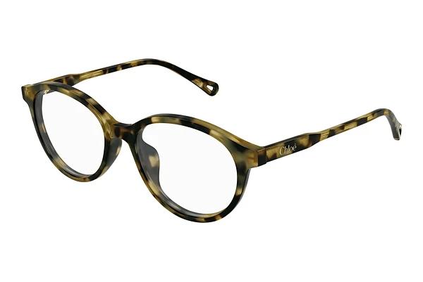 Bril Chloé CH0316OA 002