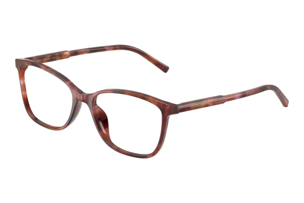 Bril Dolce & Gabbana DG3424 3444