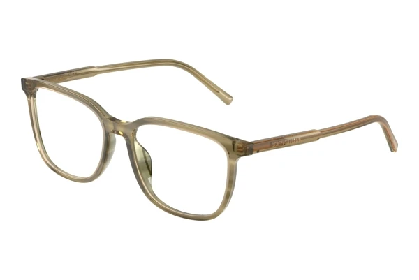 Bril Dolce & Gabbana DG3445 3480