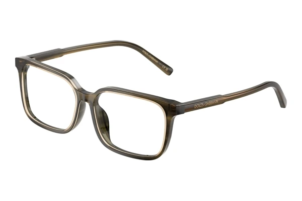 Bril Dolce & Gabbana DX3003 3480