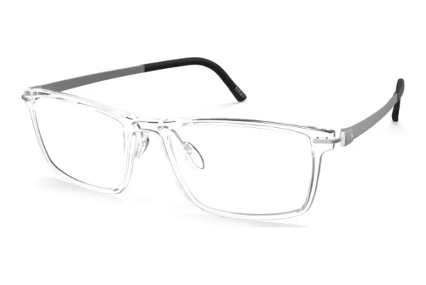 Bril Silhouette Infinity View (2939 1000)